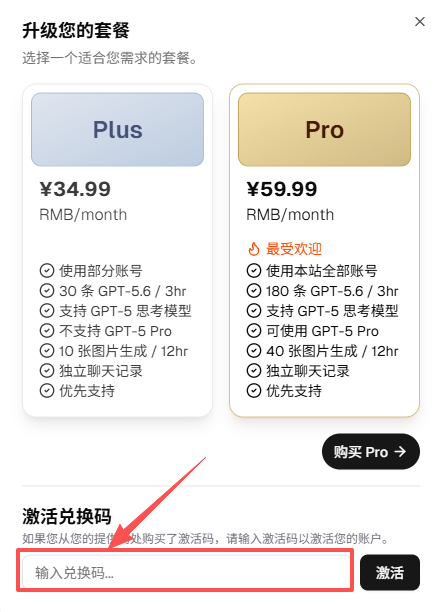 第三步：将激活验证码复制到此处激活